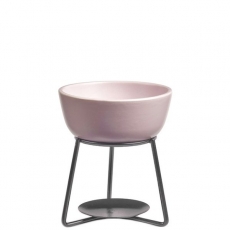 GREY LILAC