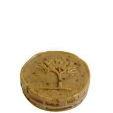 Oliwa z oliwek