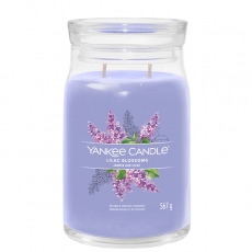 Lilac Blossoms