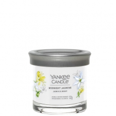 Midnight Jasmine