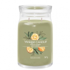 Sage & Citrus