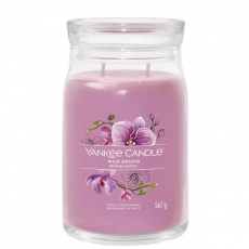 Wild Orchid