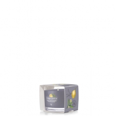 Black Tea & Lemon