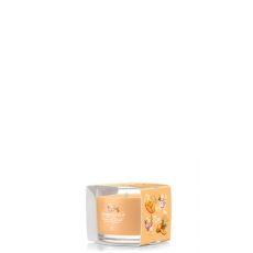 Mango Ice Cream