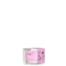 Wild Orchid
