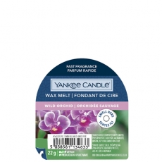 Wild Orchid