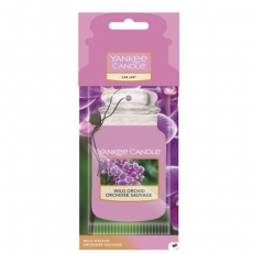 Wild Orchid