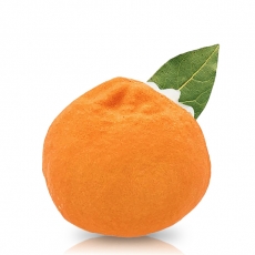 Clementine