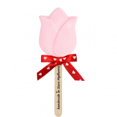 Pink Tulip