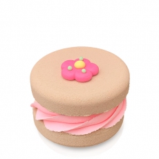 Macarons Sweet Daisy