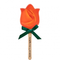 Sunny Tulip